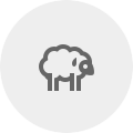 Livestock Livestock
