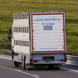 TRANSPORT